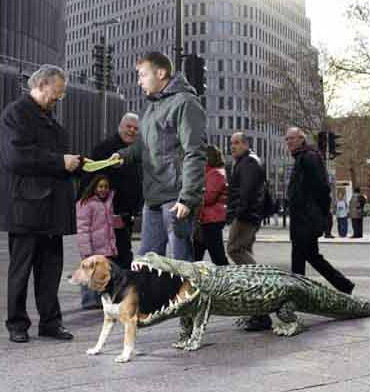 Illustration for article titled Best Dog Suit Ever